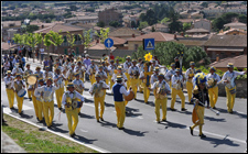 Festa del tulipano