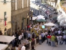 Sagra delle Cantine