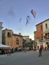 Festa della Frustica