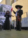 Festa della Frustica