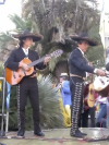 Festa della Frustica