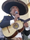 Festa della Frustica