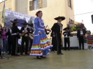 Festa della Frustica