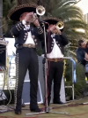 Festa della Frustica