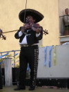 Festa della Frustica