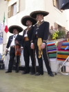 Festa della Frustica