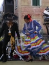 Festa della Frustica