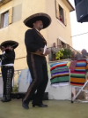 Festa della Frustica