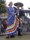 Festa della Frustica