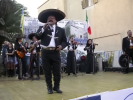 Festa della Frustica