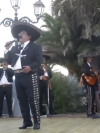 Festa della Frustica