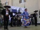Festa della Frustica