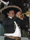 Festa della Frustica