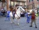 Festa della Frustica