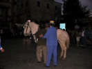 Festa della Frustica