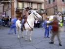 Festa della Frustica