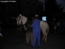 Festa della Frustica