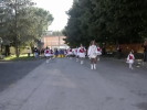 Festa della Frustica