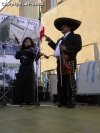 Festa della Frustica