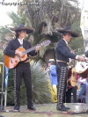 Festa della Frustica