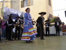 Festa della Frustica