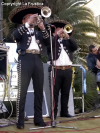 Festa della Frustica