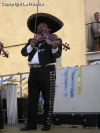 Festa della Frustica