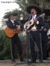 Festa della Frustica