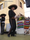 Festa della Frustica