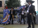 Festa della Frustica