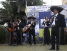 Festa della Frustica