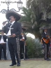 Festa della Frustica