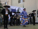 Festa della Frustica