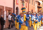 Festa del Tulipano