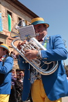 Festa del Tulipano