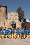 Festa del Tulipano