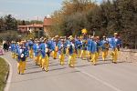 Festa del Tulipano