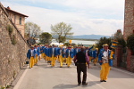 Festa del Tulipano