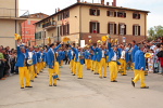 Festa del Tulipano