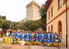 Festa del Tulipano