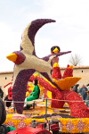 Festa del Tulipano