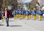 Festa del Tulipano