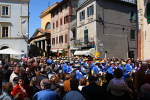 Festa del Tulipano
