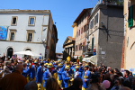 Festa del Tulipano